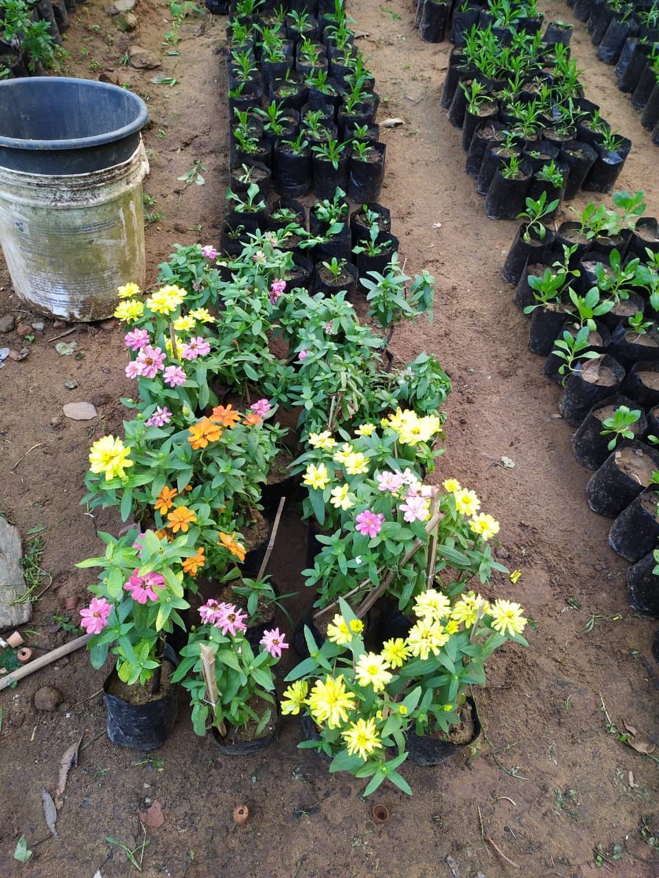 WhatsApp Image 2025-11-18 at 5.20.02 PM.jpeg