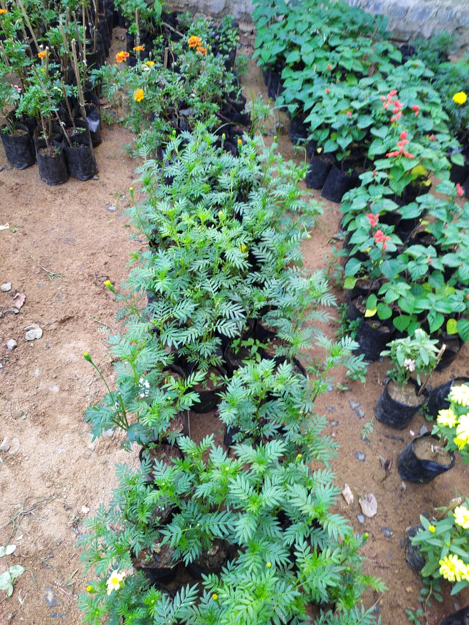 WhatsApp Image 2025-11-18 at 5.19.39 PM.jpeg